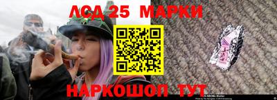 spice Будённовск