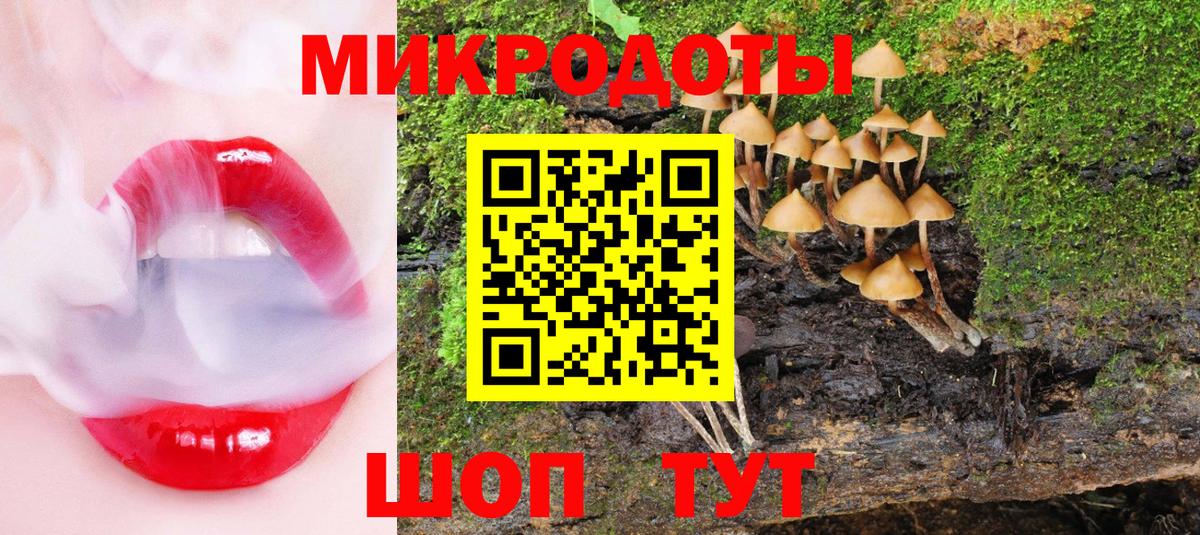 Псилоцибиновые грибы GOLDEN TEACHER Новотроицк