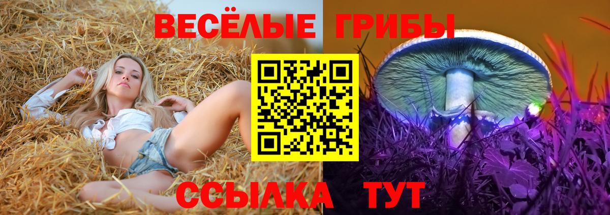 где купить наркоту  Вход с VPN  Новотроицк  Псилоцибиновые грибы ЛСД 